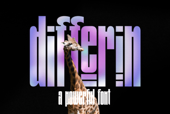 Differin: A Display Font with Quiet Confidence